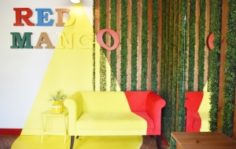 Франшиза Red Mango: Вкусные и низкокалорийные йогурты из естественных ингредиентов