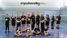 Франшиза ImpulseVolley