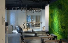 Франшиза ART OF PILATES: Студия пилатеса