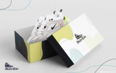 Франшиза MasterKicks Shop: Онлайн-магазин обуви