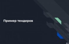 Франшиза ПерсоналБеру: Предоставление линейного персонала для федеральных объектов и крупных юридических лиц