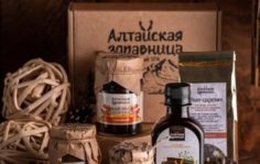 Франшиза Алтайская здравница: Первый Таёжный SPA в России