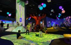 Франшиза Hello Park: Крупнейшая сеть мультимедийных парков развлечений
