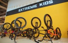 Франшиза EXTREME KIDS: Cеть мультиспортивных школ для детей и подростков