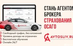 Франшиза AVTOSLIV.RU: Онлайн-бизнес автострахования ОСАГО и автоуслуг