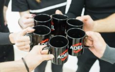 Франшиза ADEL