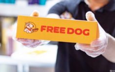 Франшиза FREE&CO: Fast food по системе freemium