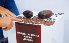 Франшиза Музей Шоколада “Шоколандия”: Образовательно-развлекательный проект, посвященный шоколаду