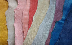 Франшиза Fish Skin Leather: Производство рыбьих кож