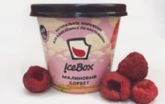 Франшиза IceBox: Натуральное мороженое