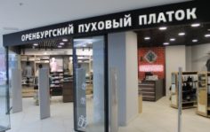 Франшиза Оренбургский пуховый платок: Продажа изделий из пуха