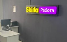 Франшиза Skilla Работа: IT-площадка, соединяющая заказчиков и исполнителей