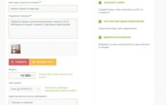 Франшиза Deliwork: Сервис бытовых услуг