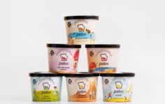 Франшиза IceBox: Натуральное мороженое