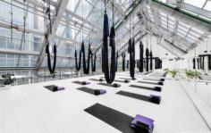 Франшиза TOPSTRETCHING™: Международная сеть студий растяжки и фитнеса