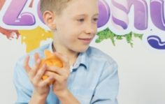 Франшиза Zephyr: Уникальные продукты для детского творчества