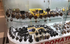 Франшиза Aroma Bar: Автоаксессуары