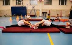 Франшиза GYMCHEL: Федерация Гимнастики