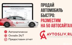 Франшиза AVTOSLIV.RU: Онлайн-бизнес автострахования ОСАГО и автоуслуг