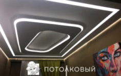 Франшиза Потолковый