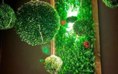 Франшиза Алтайская здравница: Первый Таёжный SPA в России