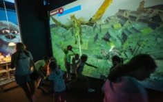 франшиза WOWLand интерактивный детский центр