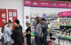 Франшиза Бетховен: Зоомагазин