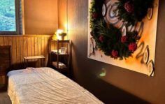 Франшиза Алтайская здравница: Первый Таёжный SPA в России