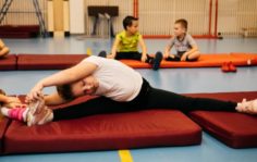 Франшиза GYMCHEL: Федерация Гимнастики