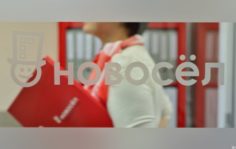 Франшиза Новосёл: Франшиза агентства недвижимости