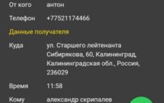 Франшиза ЯКурьер: Автоматизированный курьерский сервис экспресс-доставки