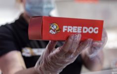 Франшиза FREE&CO: Fast food по системе freemium