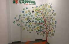 Франшиза Соробан: Школа ментальной арифметики