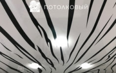 Франшиза Потолковый