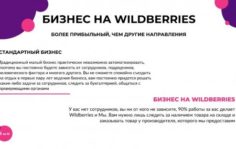 Франшиза SkillMP: Бизнес на Wildberries и других маркетплейсах