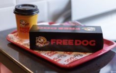 Франшиза FREE&CO: Fast food по системе freemium