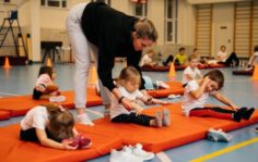 Франшиза GYMCHEL: Федерация Гимнастики