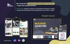 Франшиза MasterKicks Shop: Онлайн-магазин обуви