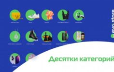 Франшиза EVO Store: Онлайн-магазин товаров из Европы и США