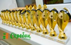 Франшиза Соробан: Школа ментальной арифметики