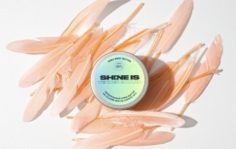 Франшиза SHINE IS: Косметика для ежедневного ухода за лицом и телом
