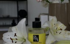 Франшиза Rich Aroma: Международная сеть парфюмерных бутиков