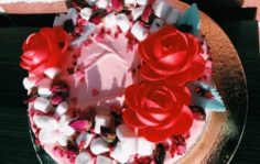 Франшиза Gelateria PLOMBIR: Итальянские кафе-мороженое