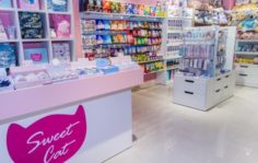 Франшиза SWEET CAT SHOP: Бренд яркой канцелярии