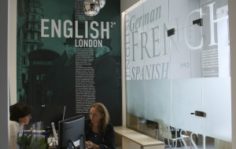 Франшиза Language Link: Школа английского языка