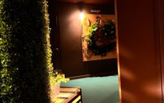 Франшиза Алтайская здравница: Первый Таёжный SPA в России