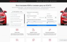 Франшиза AVTOSLIV.RU: Онлайн-бизнес автострахования ОСАГО и автоуслуг