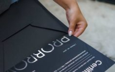 Франшиза PROBROW beauty bar: Оформление бровей и ресниц