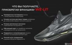 Франшиза WE LIT: Интернет-магазин оригинальных кроссовок
