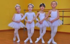 Франшиза Classic: Сеть детских балетных школ